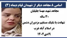 ۸ شهید دیگر قیام